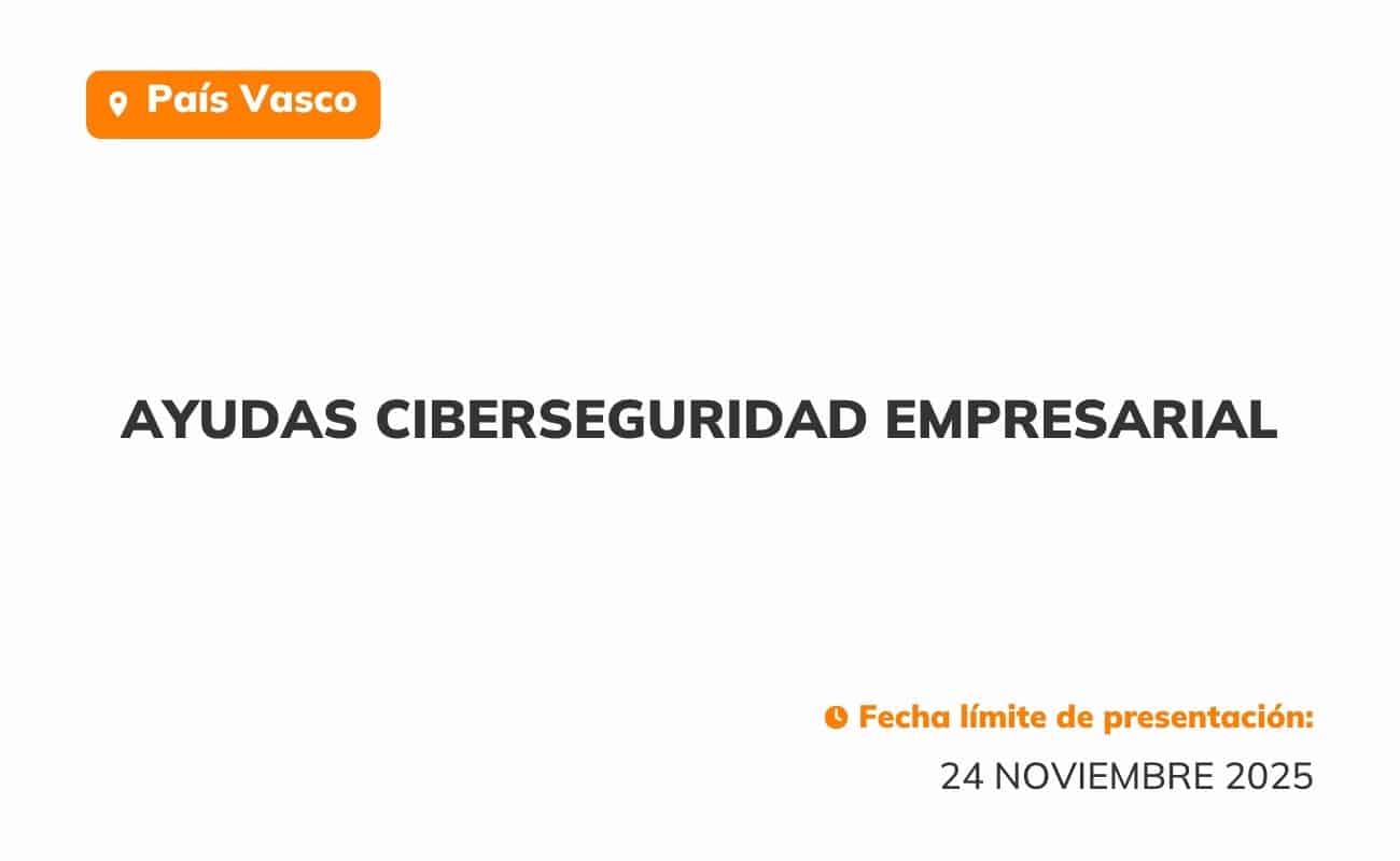Ayudas ciberseguridad empresarial