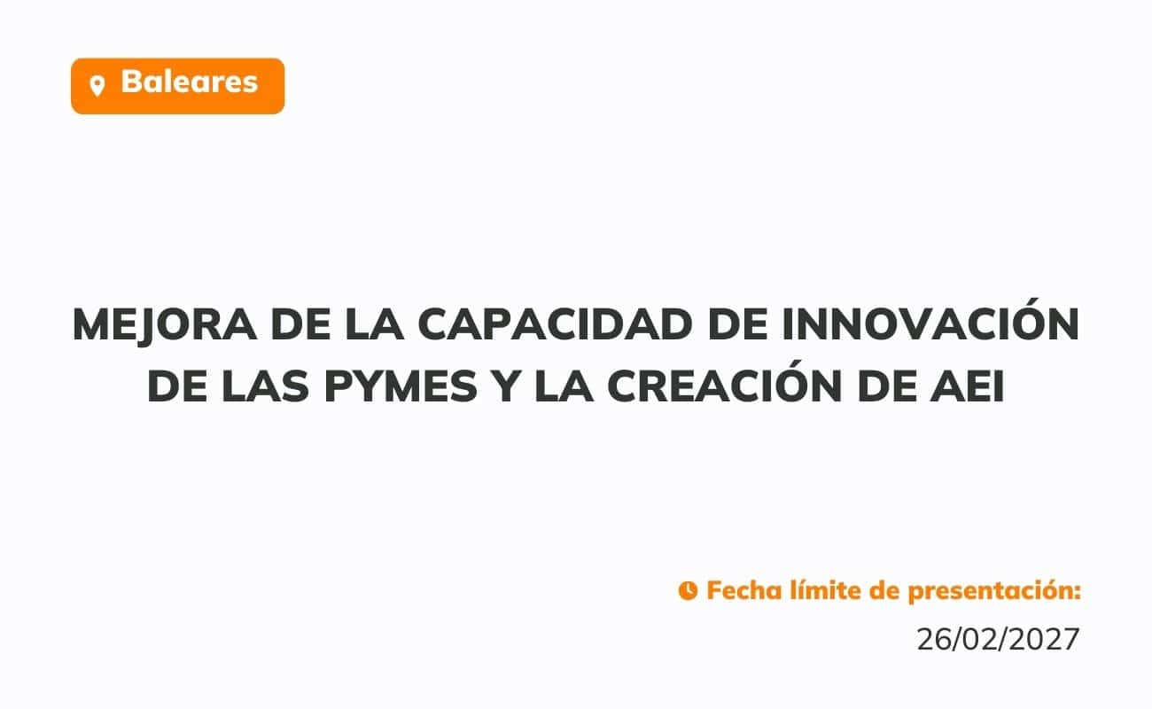 Ayudas dirigidas a la mejora de la capacidad de innovación de las pymes y la creación de AEI