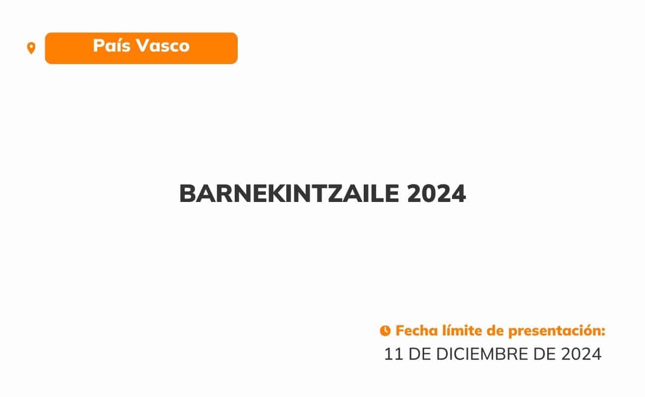 Barnekintzaile-2024