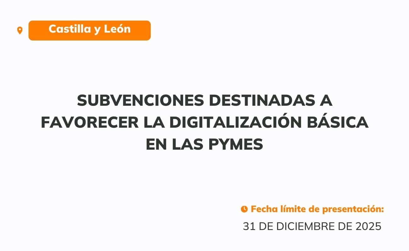 Subvenciones destinadas a favorecer la digitalización básica en las pymes