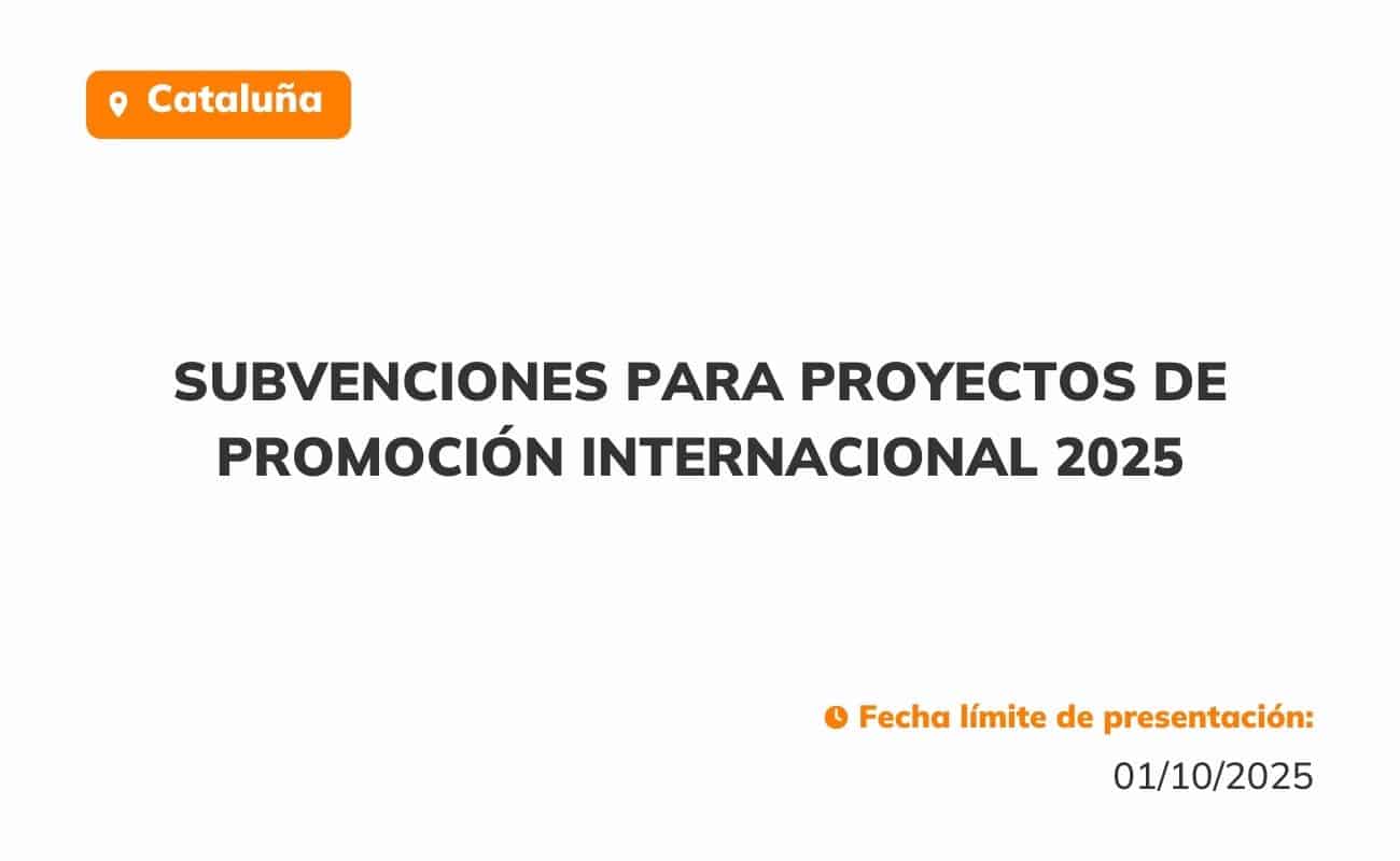 Subvenciones para proyectos de promoción internacional 2025