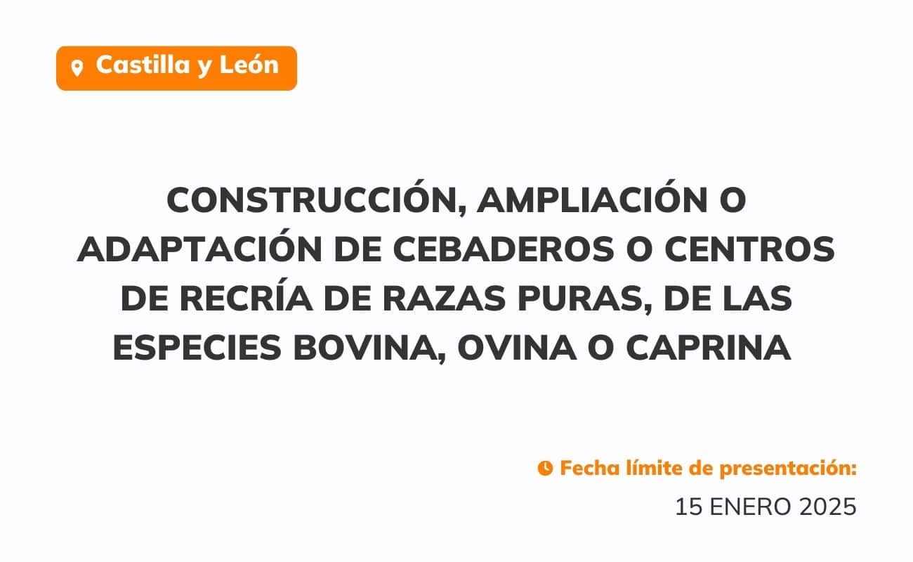 construcción, ampliación o adaptación de cebaderos o centros de recría de razas puras, de las especies bovina, ovina o caprina